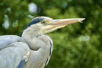 Prehistoric: our glimpse into the past Prehistoric: our glimpse into the past