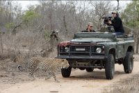 Filming for WildEarth TV