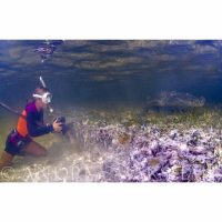 Conservation work in Mexico