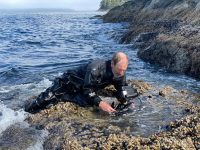 Filming gooseneck barnacles for ARTE series on intertidal life (French crew)