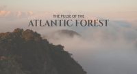 Documentary with 52 min. of duration, over the Serra do Mar State Park. An exciting adventure through the largest Atlantic